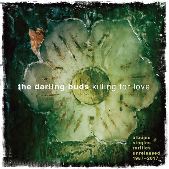 Cover for The Darling Buds · Killing For Love (CD) (2023)