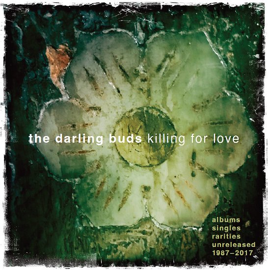 Cover for Darling Buds · Killing For Love - Albums / Singles / Rarities / Unreleased 1987-2017 (CD) (2023)