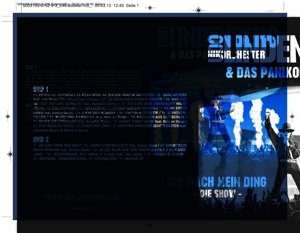 Cover for Udo Lindenberg &amp; Das Panikorchester · Ich mach mein Ding - Die Show (DVD) (2013)