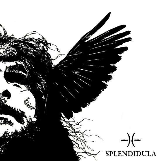 Cover for Splendidula · Somnus (LP) (2022)