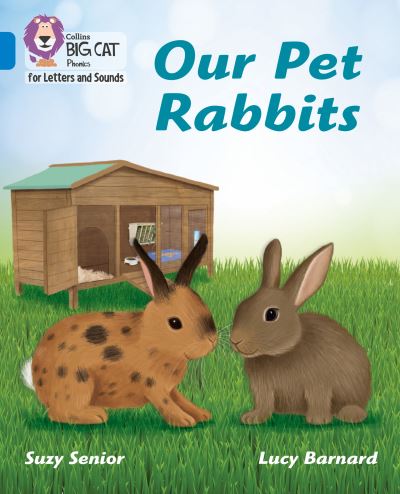 Our Pet Rabbits: Band 04/Blue - Collins Big Cat Phonics for Letters and Sounds - Suzy Senior - Books - HarperCollins Publishers - 9780008442293 - June 16, 2021