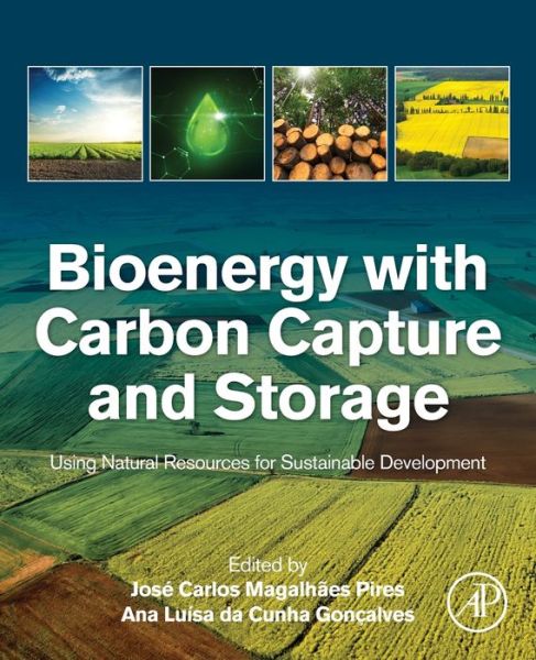 Cover for Bioenergy with Carbon Capture and Storage: Using Natural Resources for Sustainable Development (Paperback Book) (2019)