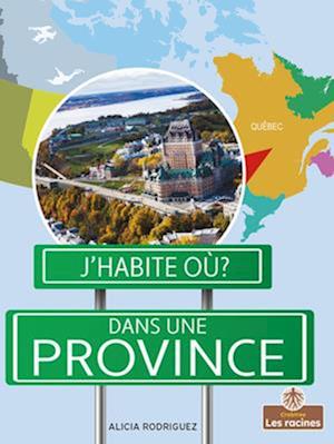 Cover for Alicia Rodriguez · Dans Une Province (Paperback Book) (2021)