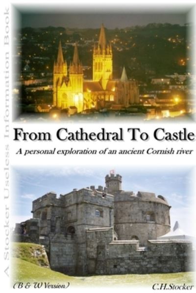 Cover for Claire Stocker · From Cathedral to Castle - (Book) [B &amp; W edition] (2014)