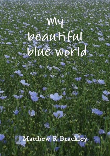 Cover for Matthew R Brackley · My Beautiful Blue World (Paperback Bog) (2014)