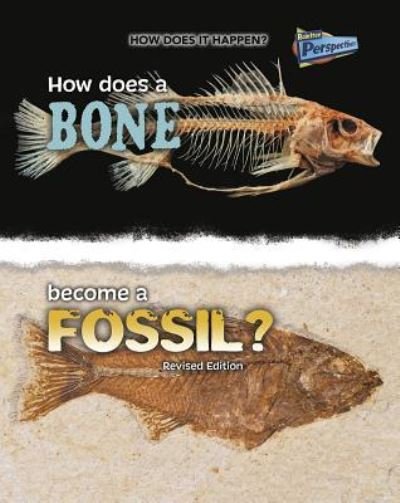 Cover for Melissa Stewart · How Does a Bone Become a Fossil? (Buch) (2016)