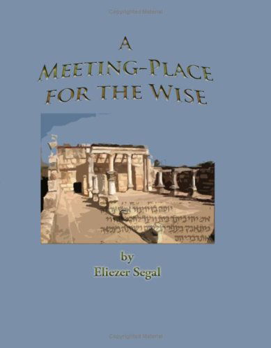 Cover for Eliezer Segal · A Meeting-place for the Wise: More Excursions into the Jewish Past and Present (Paperback Book) (2008)