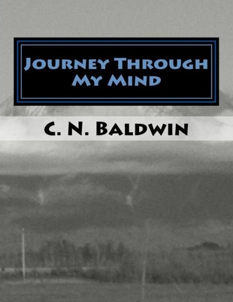 Cover for C N Baldwin · Journey Through My Mind: Walking Through a Roller Coaster of Emotions (Taschenbuch) (2015)