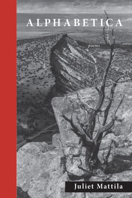 Cover for Juliet Mattila · Alphabetica (Paperback Book) (2025)