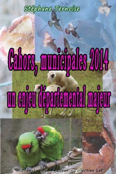 Cahors, Municipales 2014 : Un Enjeu Départemental Majeur - Stéphane Ternoise - Books - Jean-Luc Petit éditeur - 9782365415293 - March 1, 2014