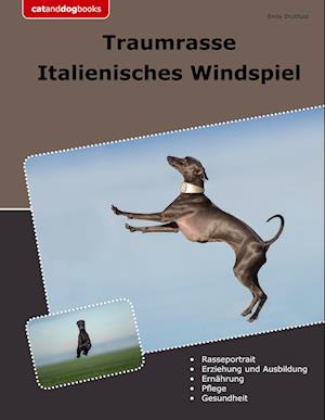 Cover for Emily Druhfuss · Traumrasse Italienisches Windspiel (Book) (2024)