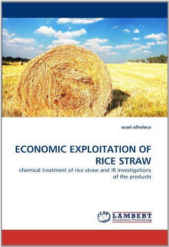 Cover for Wael Elhelece · Economic Exploitation of Rice Straw: Chemical Treatment of Rice Straw and Ir Investigations of the Products (Paperback Book) (2010)