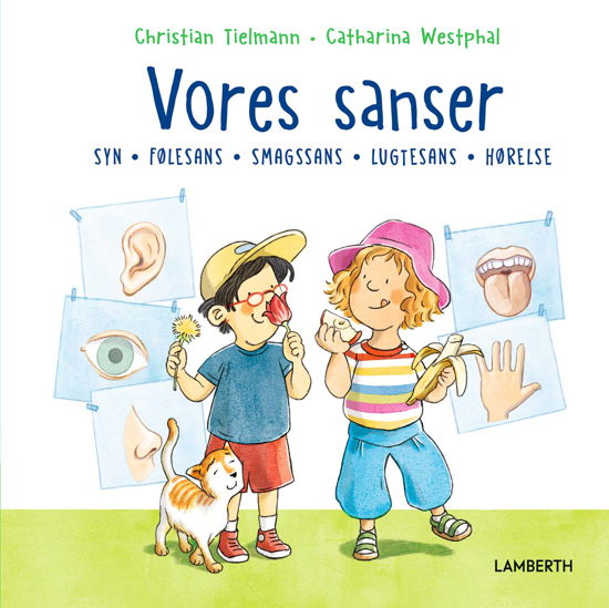 Cover for Christian Tielmann · Vores sanser (Bound Book) [1st edition] (2024)