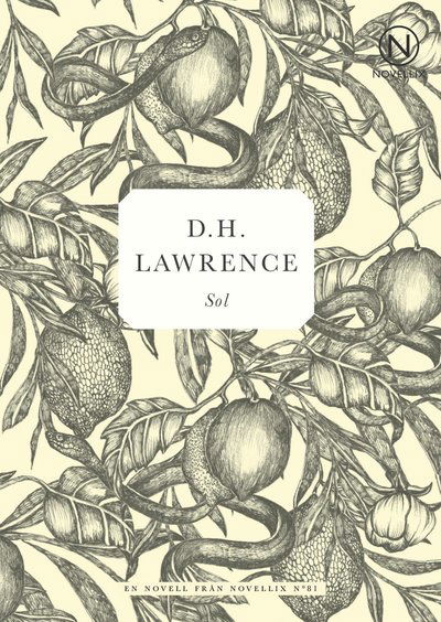 Cover for D. H. Lawrence · Sol (Book) (2016)