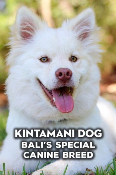 Cover for Antillon Gloria · Kintamani Dog: Bali's Special Canine Breed: How Well Do You Know About Kintamani Dog? (Paperback Book) (2021)