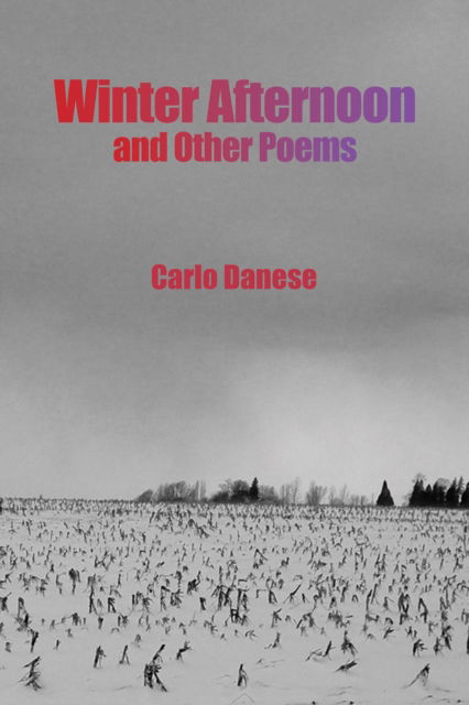 Cover for Carlo Danese · Winter Afternoon and Other Poems (Paperback Book) (2025)