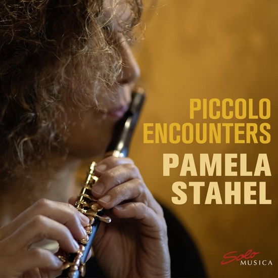 Cover for Piccolo Encounters / Various (CD) [Digipak] (2020)