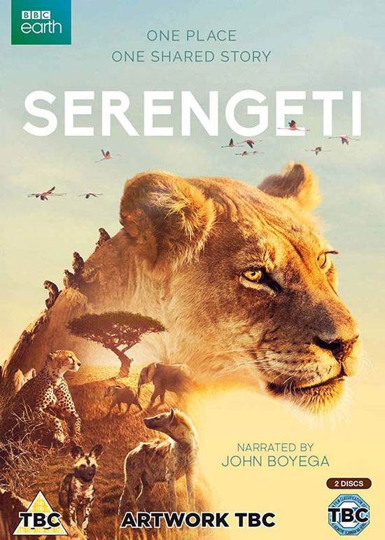 Cover for Serengeti (DVD) (2019)