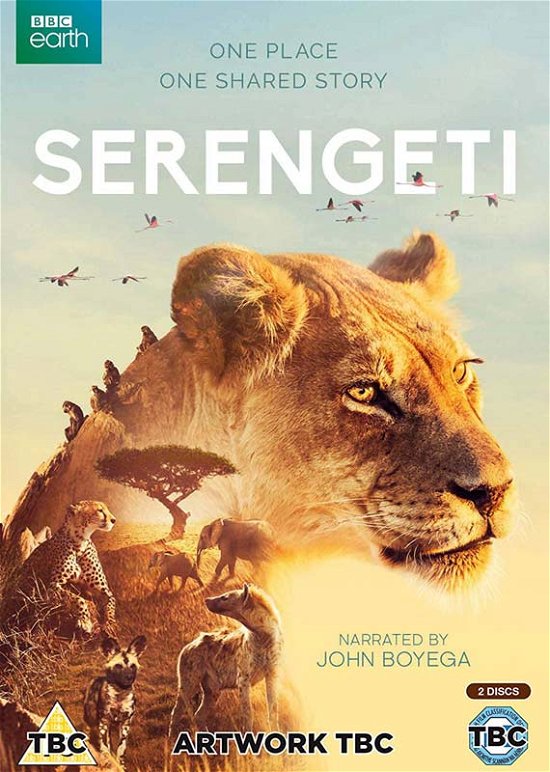 Cover for Fox · Serengeti (DVD) (2019)