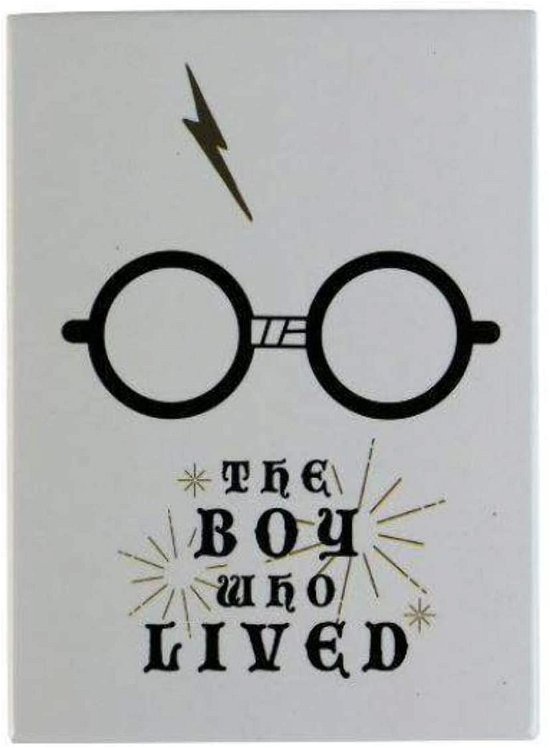 Boy Who Lived (Magnet Metal / Magnete) - Harry Potter: Half Moon Bay - Gadżety -  - 5055453477294 - 