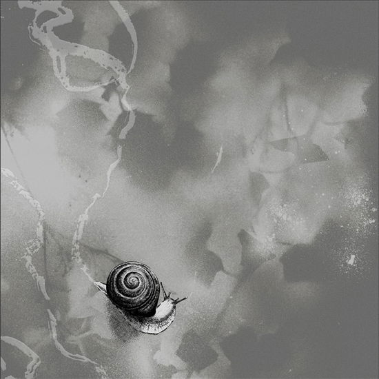 Cover for Rats On Rafts · Deep Below (CD) (2025)