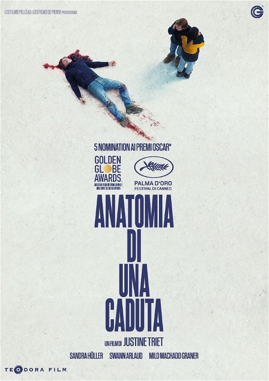 Cover for Anatomia Di Una Caduta (DVD) (2024)