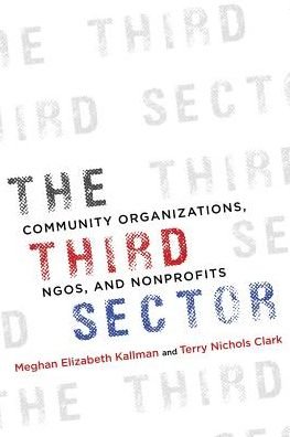Cover for Meghan Kallman · The Third Sector: Community Organizations, NGOs, and Nonprofits (Paperback Bog) (2019)