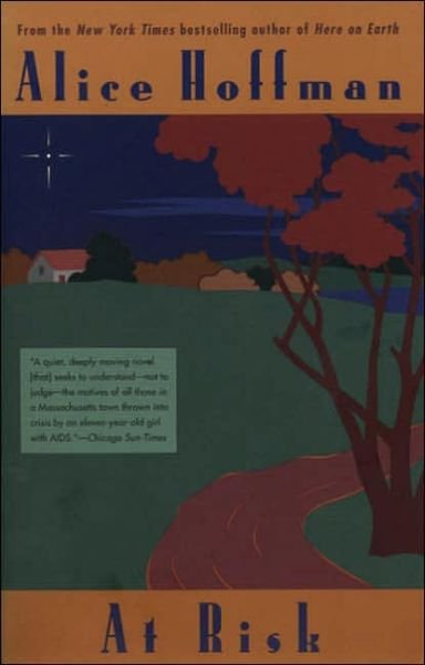 Cover for Alice Hoffman · At Risk (Paperback Bog) (1998)