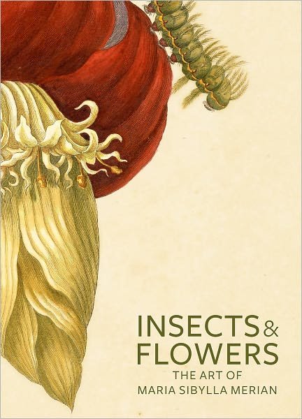Cover for . Brafman · Insects and Flowers – The Art of Maria Sibylla Merian (Paperback Book) (2008)