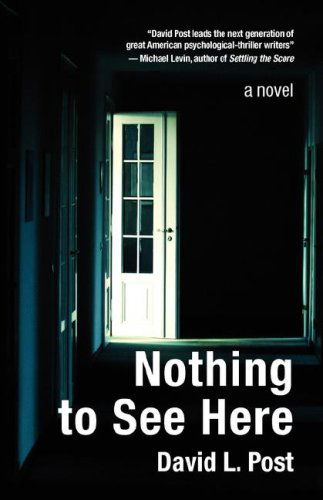 David L. Post · Nothing to See Here (Paperback Book) [First edition] (2007)