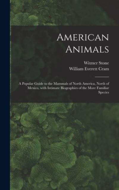 Cover for Witmer 1866-1939 Stone · American Animals [microform] (Hardcover Book) (2021)