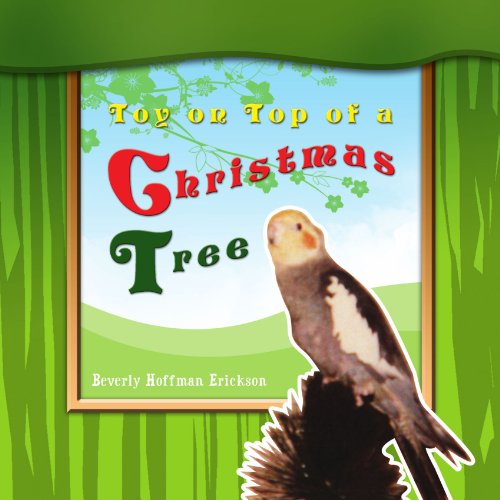 Cover for Beverly Hoffman Erickson · Toy on Top of a Christmas Tree (Paperback Book) (2009)