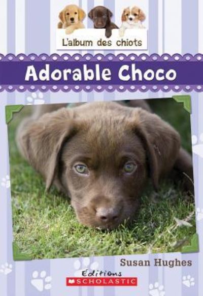 L' Album Des Chiots: N? 1 - Adorable Choco - Susan Hughes - Books - Scholastic - 9781443124294 - March 1, 2014