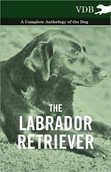 Cover for The Labrador Retriever - a Complete Anthology of the Dog (Pocketbok) (2010)