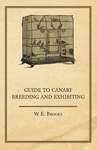 Guide to Canary Breeding and Exhibiting - W. E. Brooks - Books - Oliphant Press - 9781447410294 - May 24, 2011