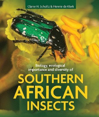 Cover for Clarke H. Scholtz · Biology, ecological importance and diversity of southern African insects (Hardcover Book) (2025)