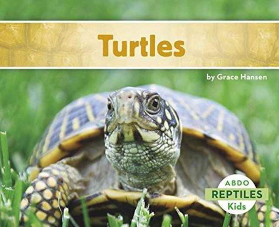 Cover for Grace Hansen · Turtles (Paperback Book) (2016)