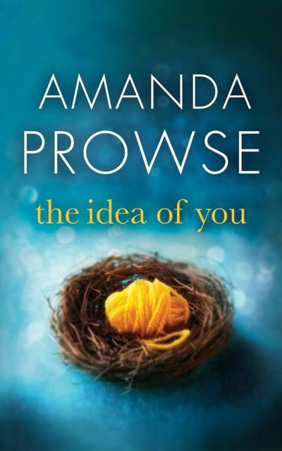 Cover for Amanda Prowse · The Idea of You (CD) (2017)