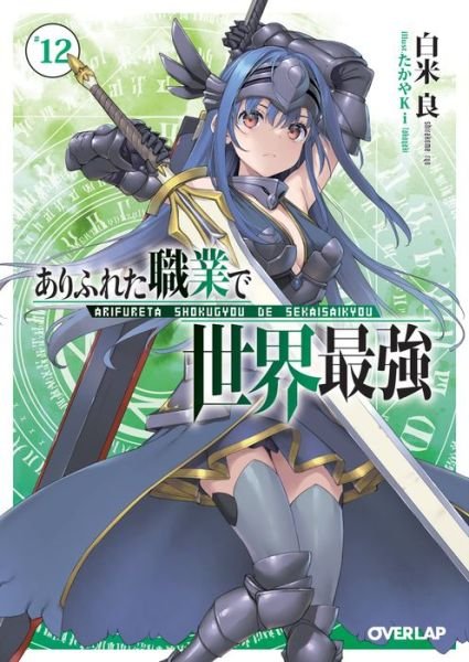 Cover for Ryo Shirakome · Arifureta: From Commonplace to World's Strongest (Light Novel) Vol. 12 - Arifureta: From Commonplace to World's Strongest (Light Novel) (Paperback Book) (2023)