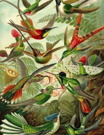 Cover for Bliss · Haeckel's Hummingbirds Composition Notebook (Paperback Bog) (2018)