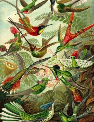 Haeckel's Hummingbirds Composition Notebook - Bliss - Bücher - Createspace Independent Publishing Platf - 9781718837294 - 6. Mai 2018