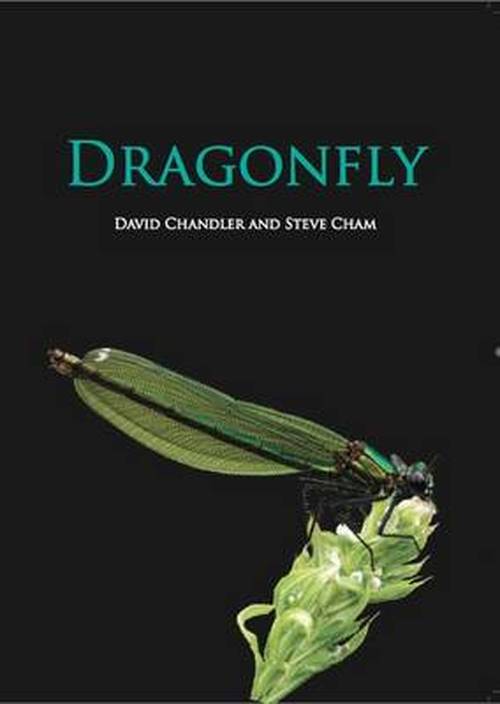 Cover for David Chandler · Dragonfly (Hardcover Book) (2013)