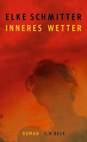 Cover for Elke Schmitter · Inneres Wetter (Hardcover Book) (2021)