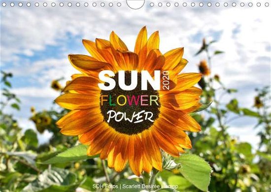 Cover for Fotos · SUN Flower Power (Wandkalender 20 (Bog)