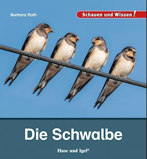 Cover for Barbara Rath · Die Schwalbe (Book) (2023)