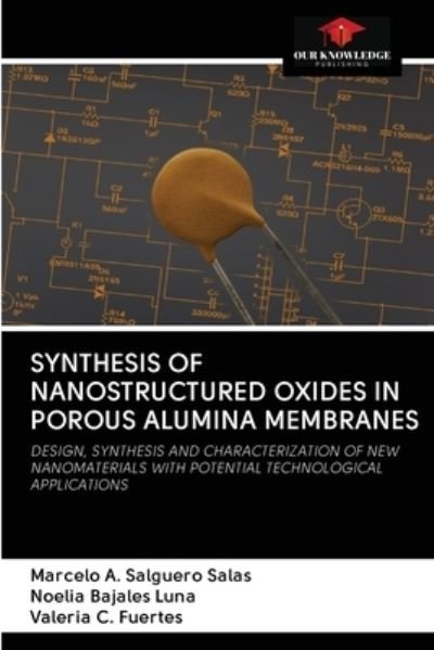 Cover for Marcelo A Salguero Salas · Synthesis of Nanostructured Oxides in Porous Alumina Membranes (Paperback Book) (2020)