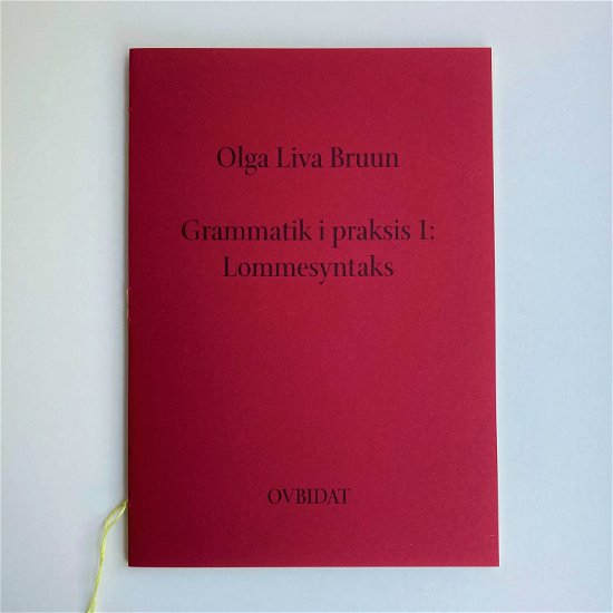 Cover for Olga Liva Bruun · Grammatik i praksis 1: Lommesyntaks. (Sewn Spine Book) [1st edition] (2023)
