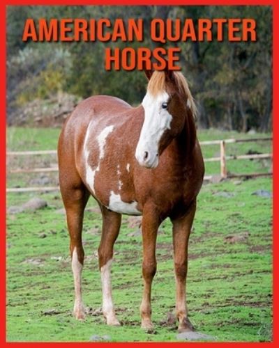 Cover for Linda Davis · American Quarter Horse (Paperback Book) (2021)