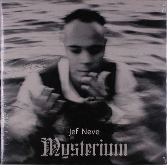 Cover for Jef Neve · Mysterium (LP) (2020)