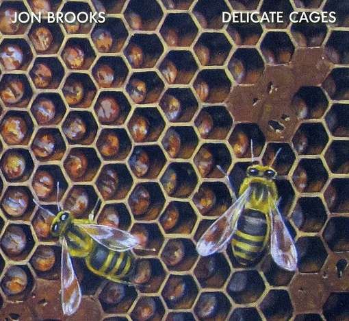 Cover for Jon Brooks · Delicate Cages (CD) (2012)